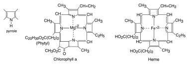 Pyrrole Disorder: Symptoms, Causes, Diagnosis & Treatment