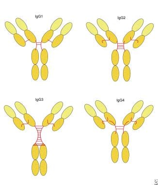 Immunoglobulin G deficiency. Human immunoglobulin 