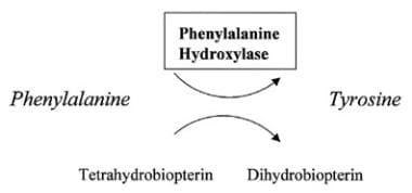 Phenylalanine hydroxylase converts phenylalanine t
