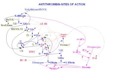 Antithrombin (AT) sites of action. 