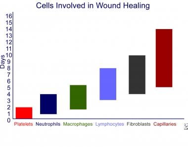 Wound healing and growth factors. Cells involved i