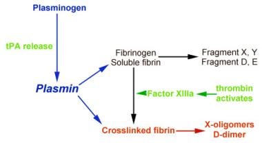 Fibrin and fibrinogen degradation products. 