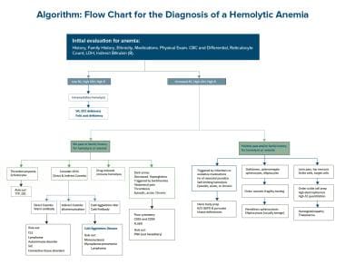 Diagnosing Anemia Chart