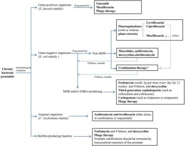 Treatment algorithm for chronic bacterial prostati