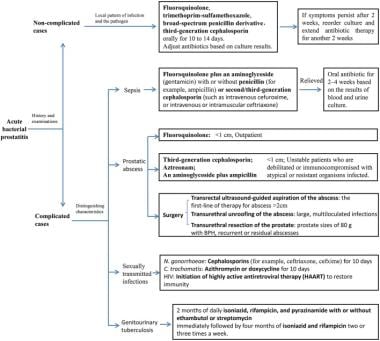 Treatment algorithm for acute bacterial prostatiti