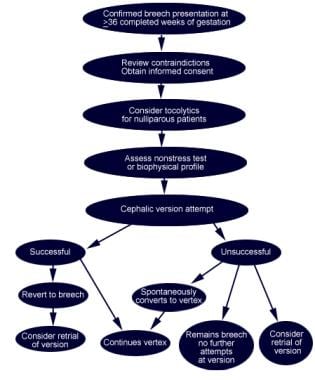 Algorithm for patient management of external cepha