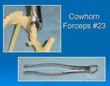 Cowhorn forceps No. 23. 