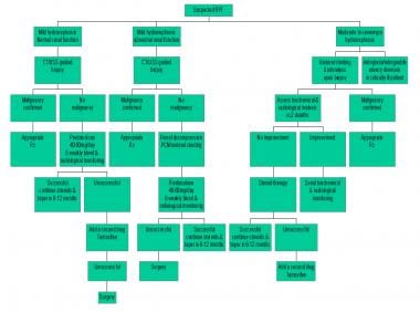 Management algorithm of retroperitoneal fibrosis. 