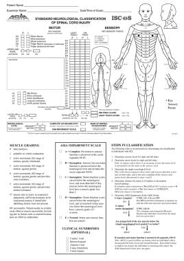 Spinal Cord Injuries Practice Essentials Background Anatomy