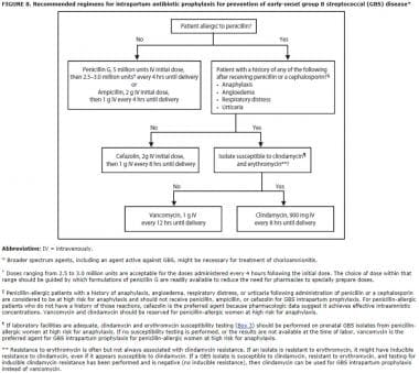 pathophysiology of sepsis neonatorum