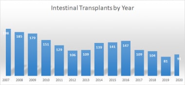 Intestinal transplants by year in the United State