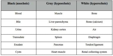 Echogenicities of various tissues. 