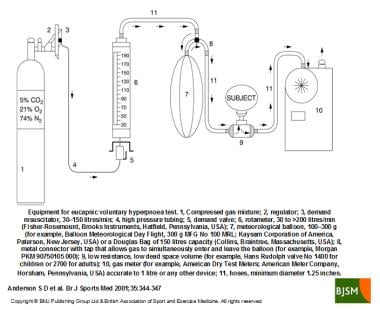 Eucapnic高换气测试的设备