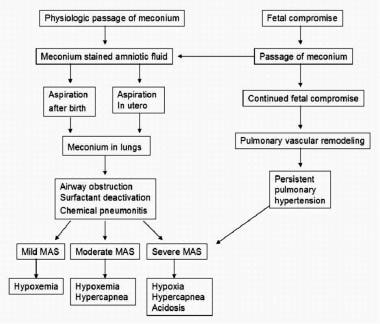 Pathophysiology of meconium aspiration. Image adap