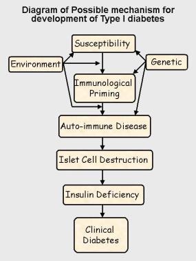 Possible mechanism for development of type 1 diabe