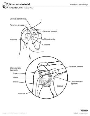Shoulder joint, anterior view. 