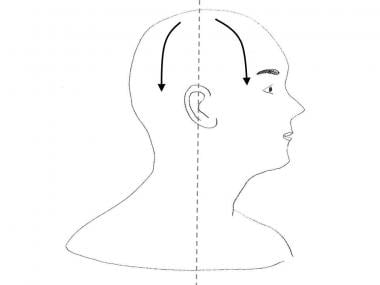 Drainage patterns of the scalp. 