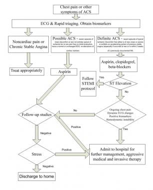 Suggested algorithm for triaging patients with che