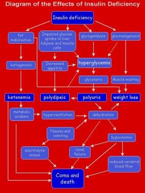 diabetes mellitus type 1 pathophysiology