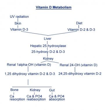 Hypercalcemia Practice Essentials Pathophysiology Etiology