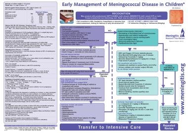 Meningitis Chart