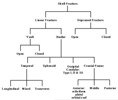 Classification of skull fractures 