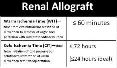 Acceptable warm and cold ischemia times for renal 