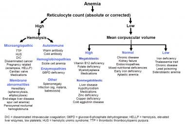 Algorithm for determining the cause of anemia.