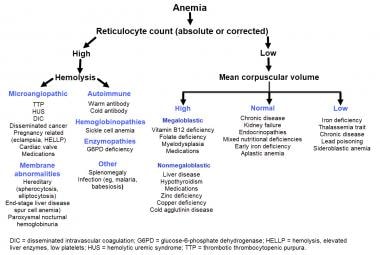 Anemia in Elderly Persons Practice Essentials Anemia Thresholds