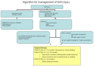 Algorithm for management of spinal accessory nerve