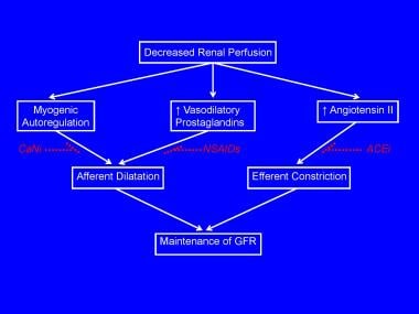 Compensatory mechanisms for preventing a fall in g