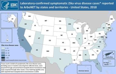 How Zika Virus Evades Antiviral Response of Cells