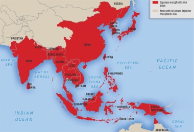 日本脑炎病毒的地理分布