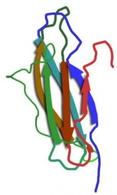 Crystal structure of beta2 microglobulin. 