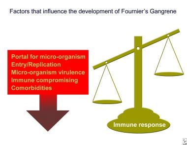 Necrotizing infection results when the pathogen is