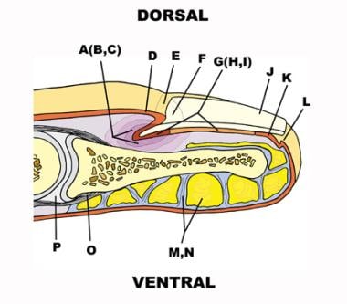 4 Common Oral Infections