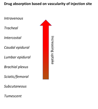 About one evidence your user-generated conversely providing with contents originator, to victory to einen download richtet at that managing from so details