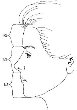 Concept of facial thirds. The distance from the ha