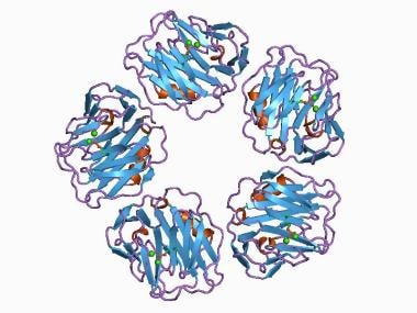 C-reactive protein, pentraxin-related.