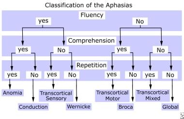 Classification of the aphasias. 