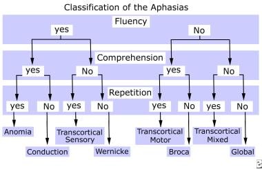 Aphasia Symptoms Chart