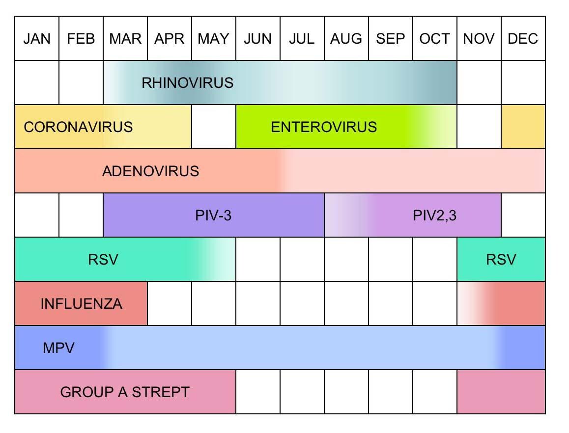 Contagious Period Of Viral Diseases Wonder