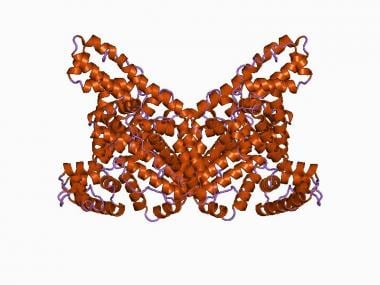 The structure of human serum albumin. 