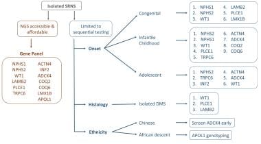 Pediatric Nephrotic Syndrome Workup: Approach Considerations, Urine  Studies, Blood Studies