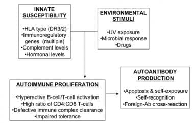 Pathophysiology Of Arthritis In Flow Chart