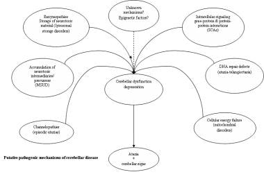 Putative pathogenic mechanisms of cerebellar disea