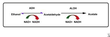 The pathway of ethanol metabolism. Disulfiram redu