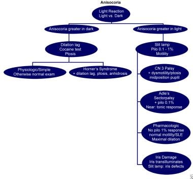 Flowchart to assist in the diagnosis of anisocoria