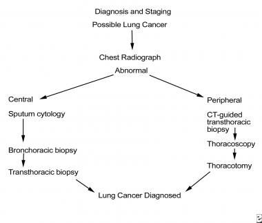 MEPs must increase early lung cancer diagnosis by 20% by 2030 to