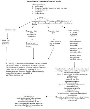 Approach to the biochemical evaluation of inherite